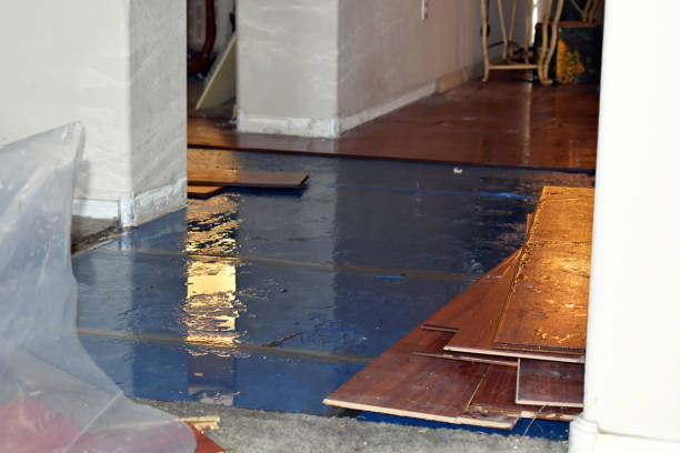 Professional Sewage Cleanup technician working in Cohoctah, MI